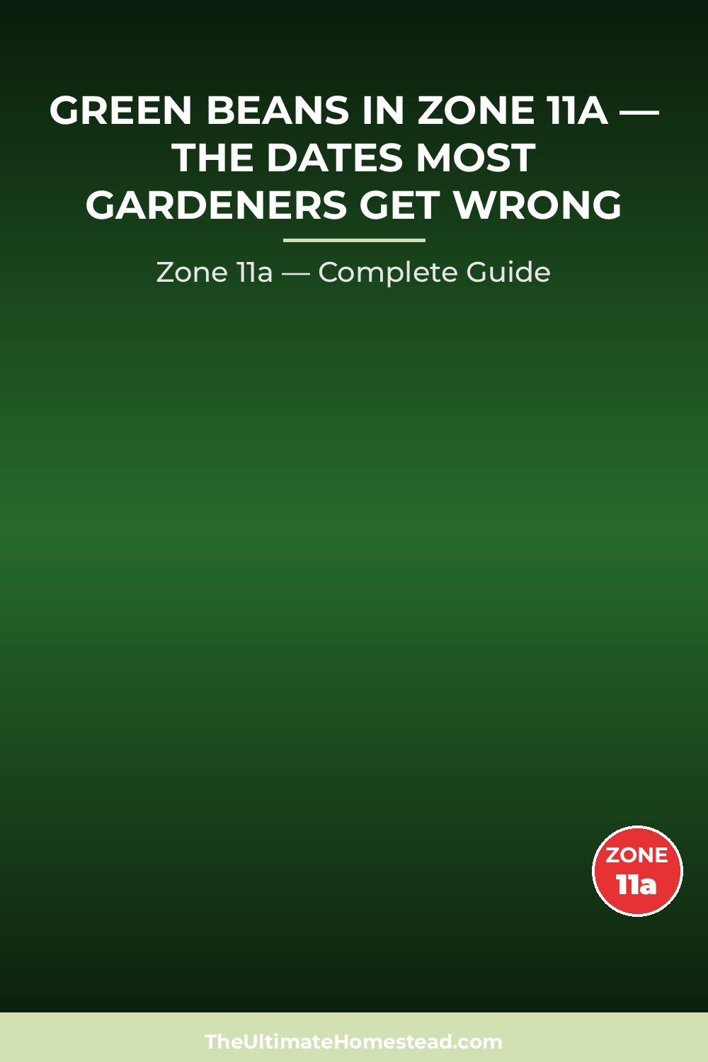 When to Plant Green Beans in Zone 11a