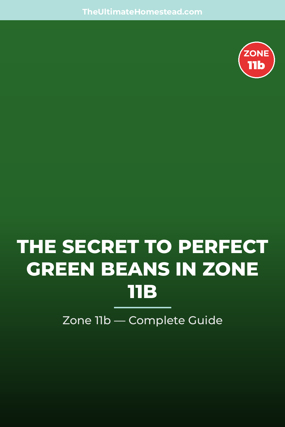 When to Plant Green Beans in Zone 11b