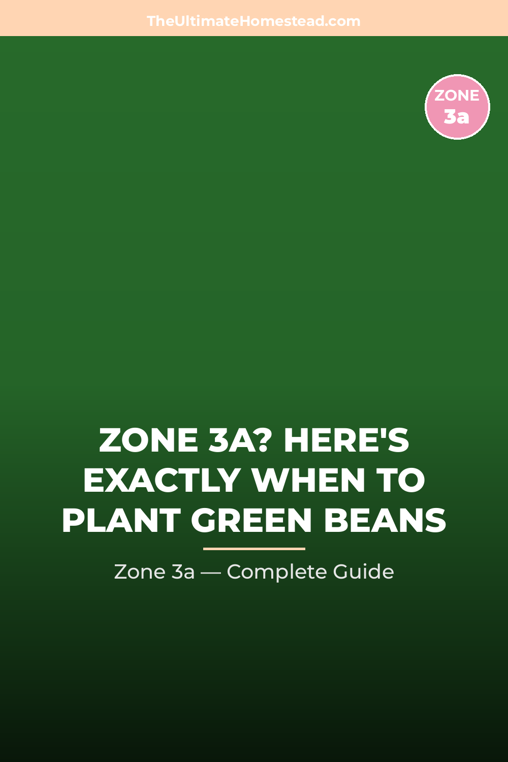 When to Plant Green Beans in Zone 3a