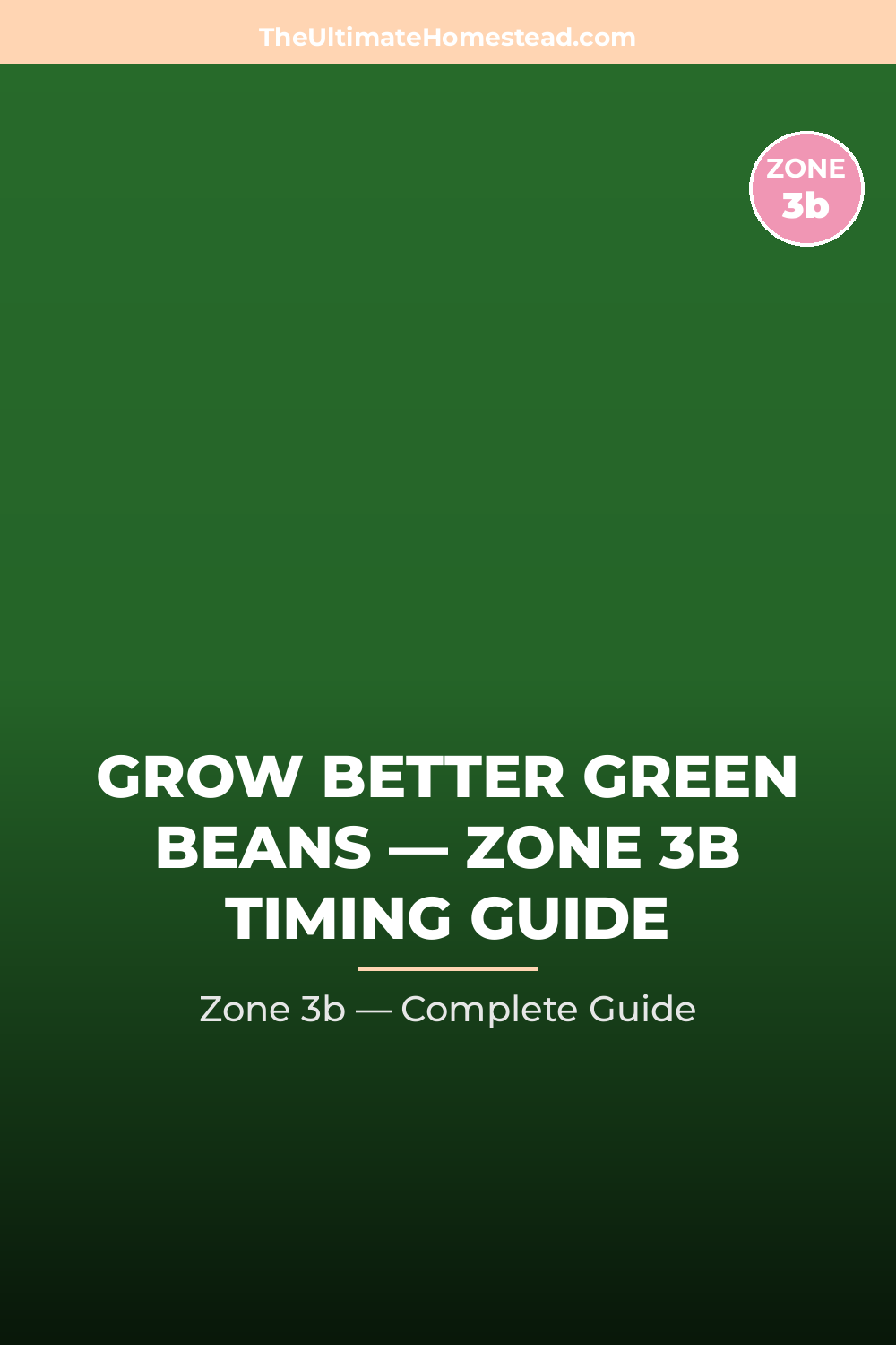 When to Plant Green Beans in Zone 3b