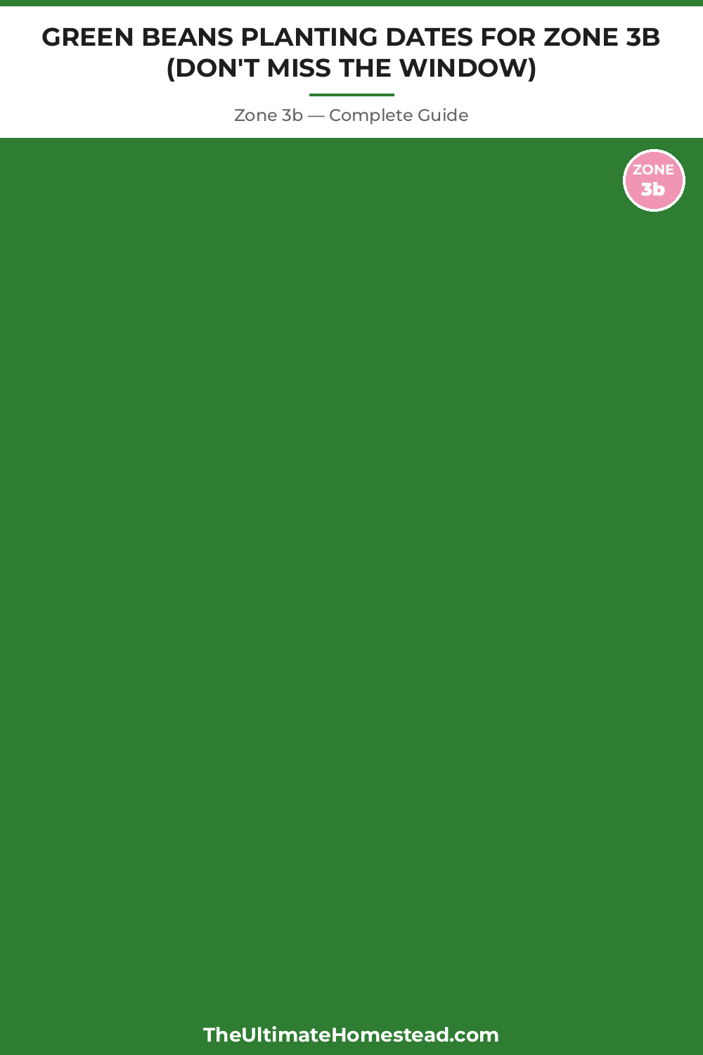 When to Plant Green Beans in Zone 3b