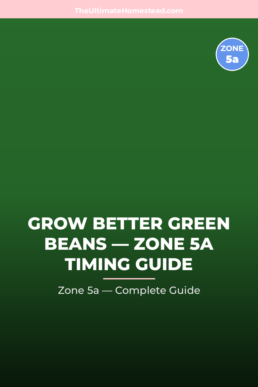When to Plant Green Beans in Zone 5a
