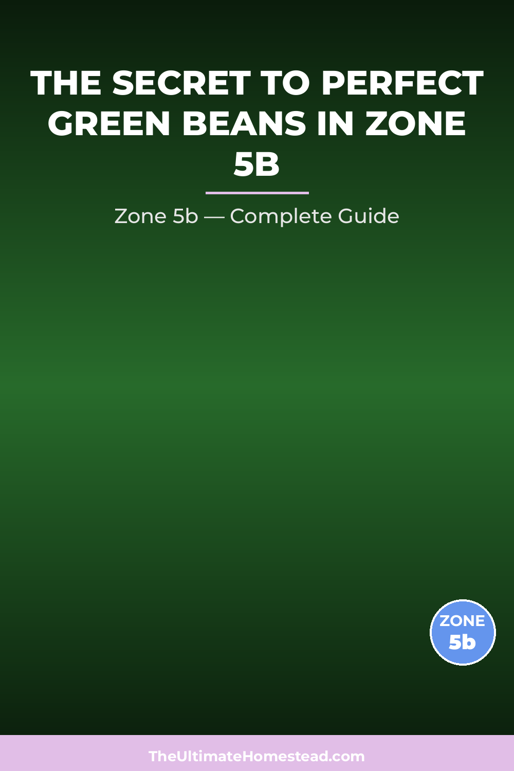 When to Plant Green Beans in Zone 5b