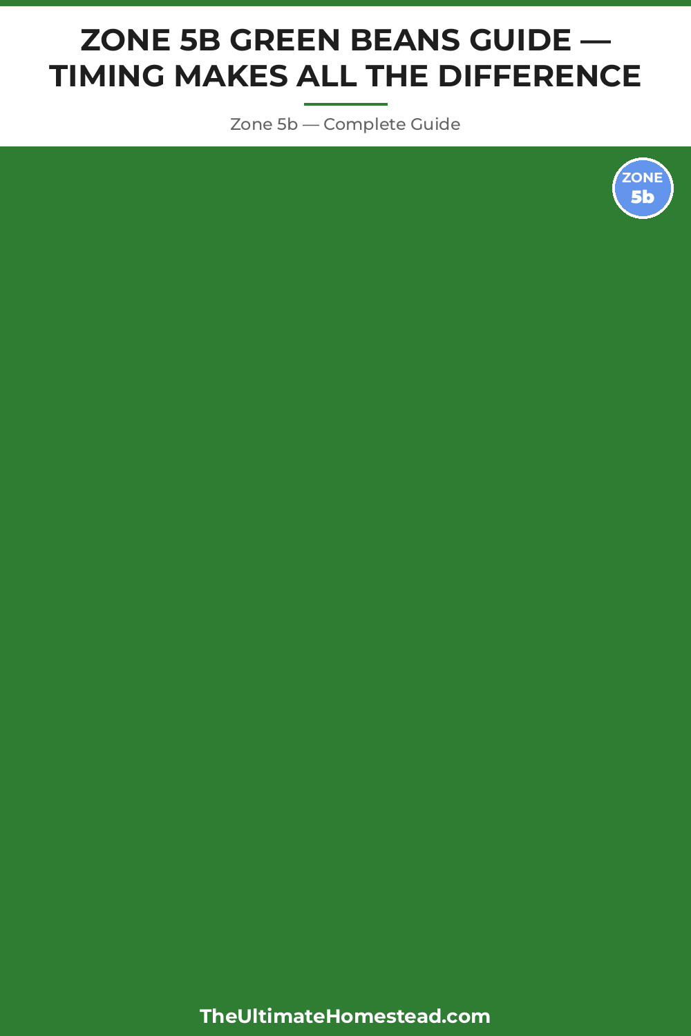 When to Plant Green Beans in Zone 5b