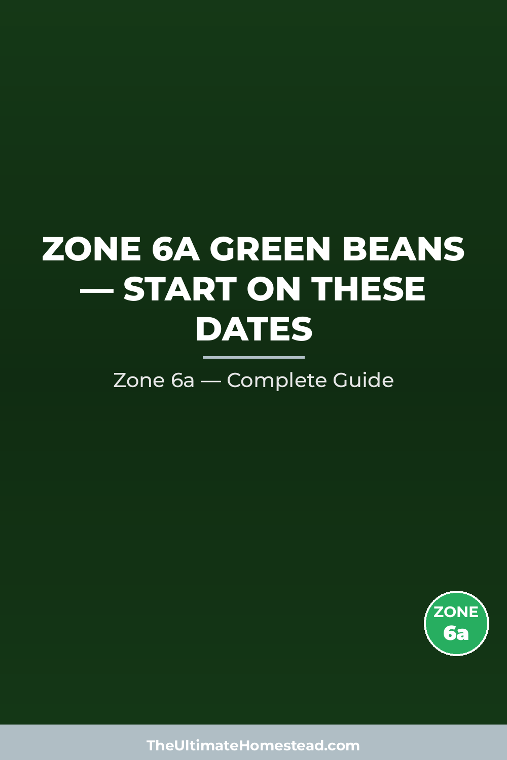 When to Plant Green Beans in Zone 6a