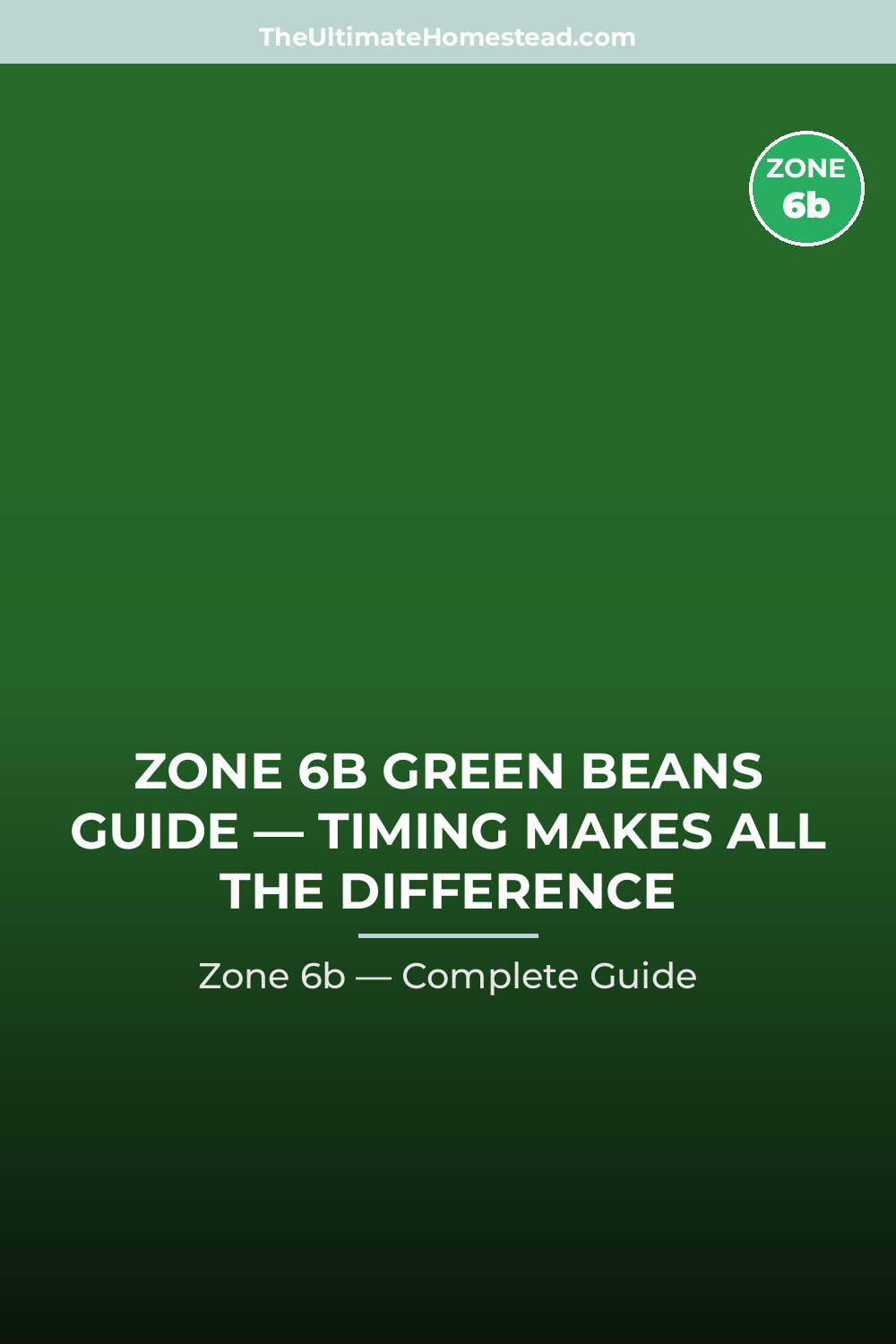 When to Plant Green Beans in Zone 6b