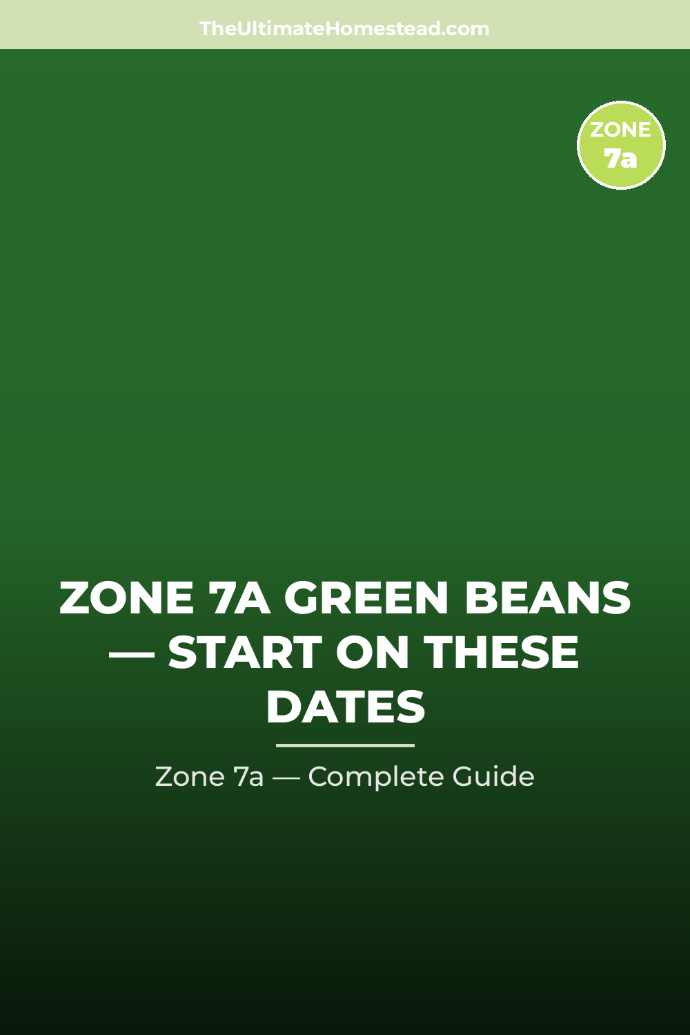 When to Plant Green Beans in Zone 7a