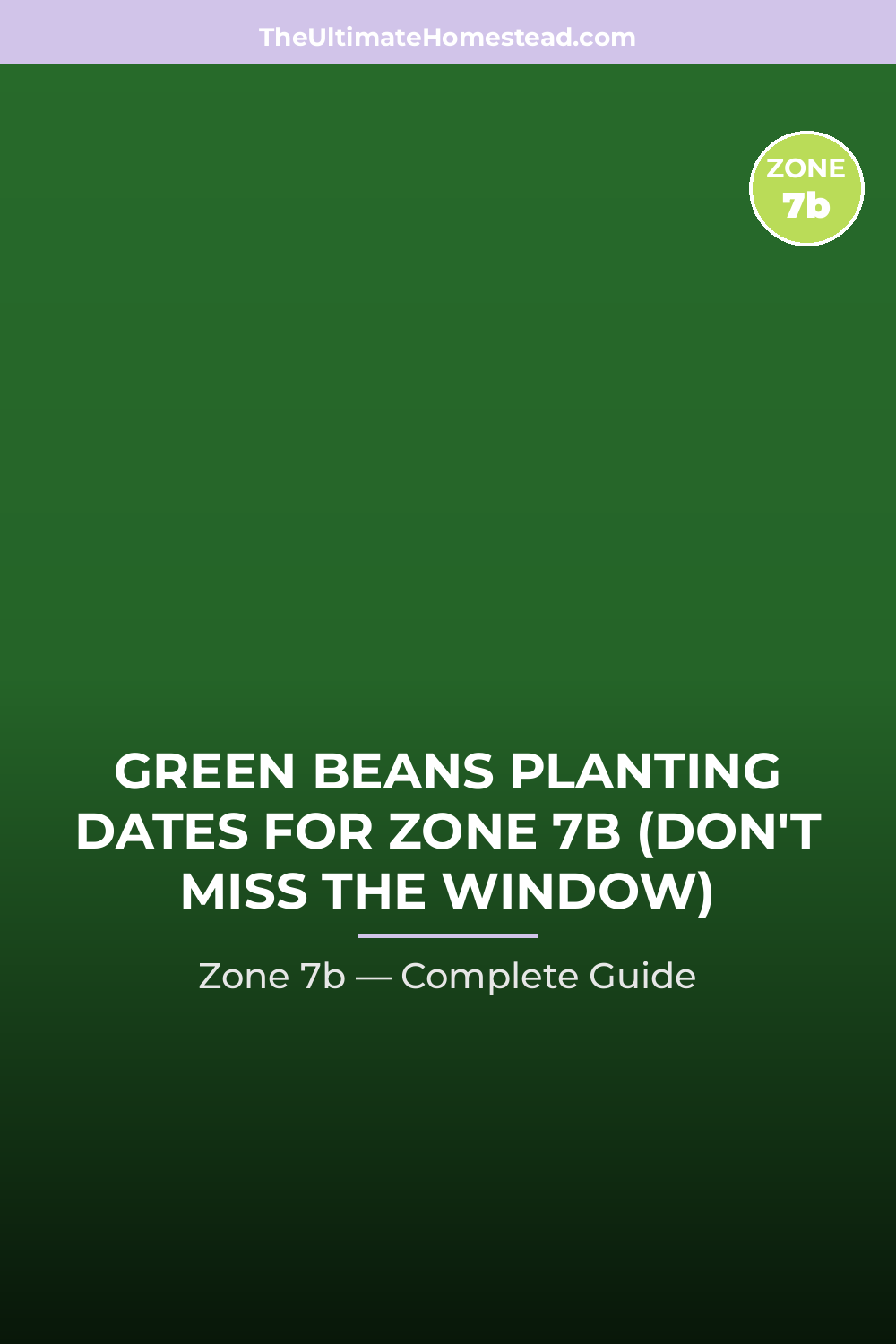 When to Plant Green Beans in Zone 7b