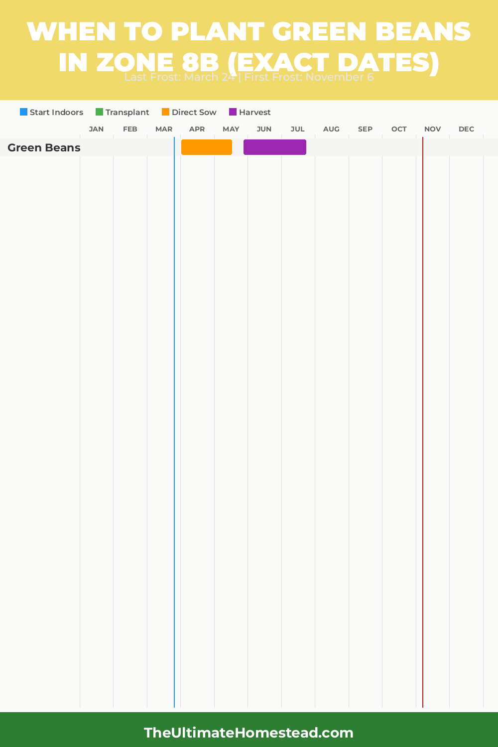 When to Plant Green Beans in Zone 8b