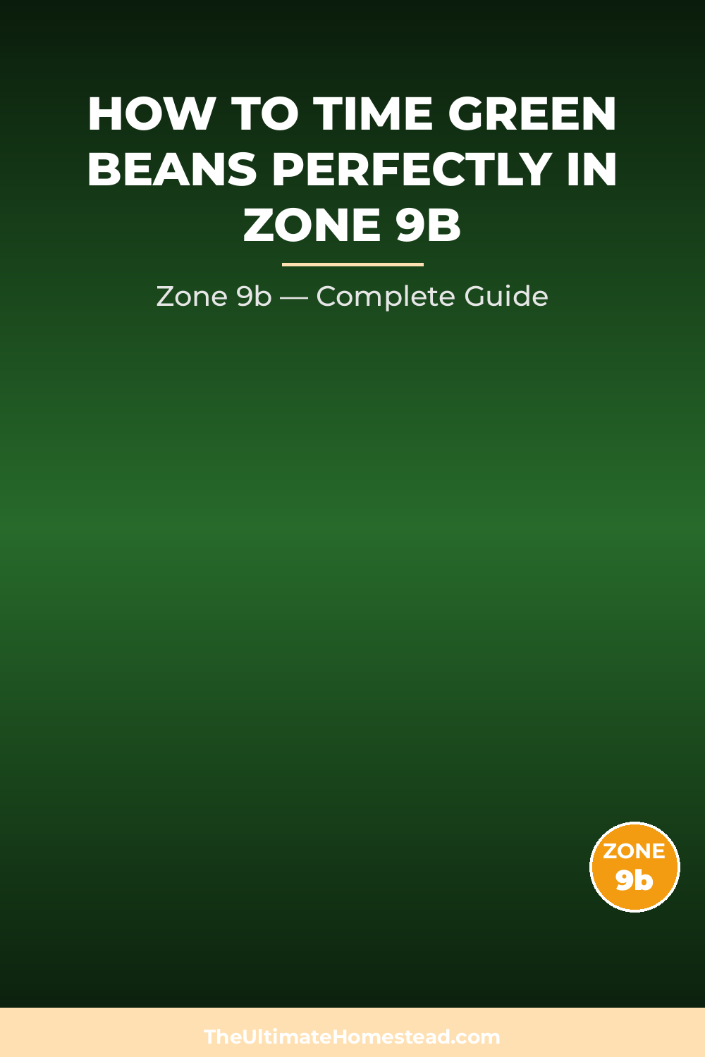 When to Plant Green Beans in Zone 9b
