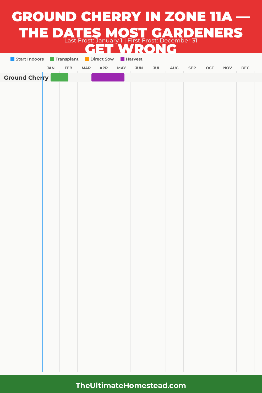 When to Plant Ground Cherry in Zone 11a