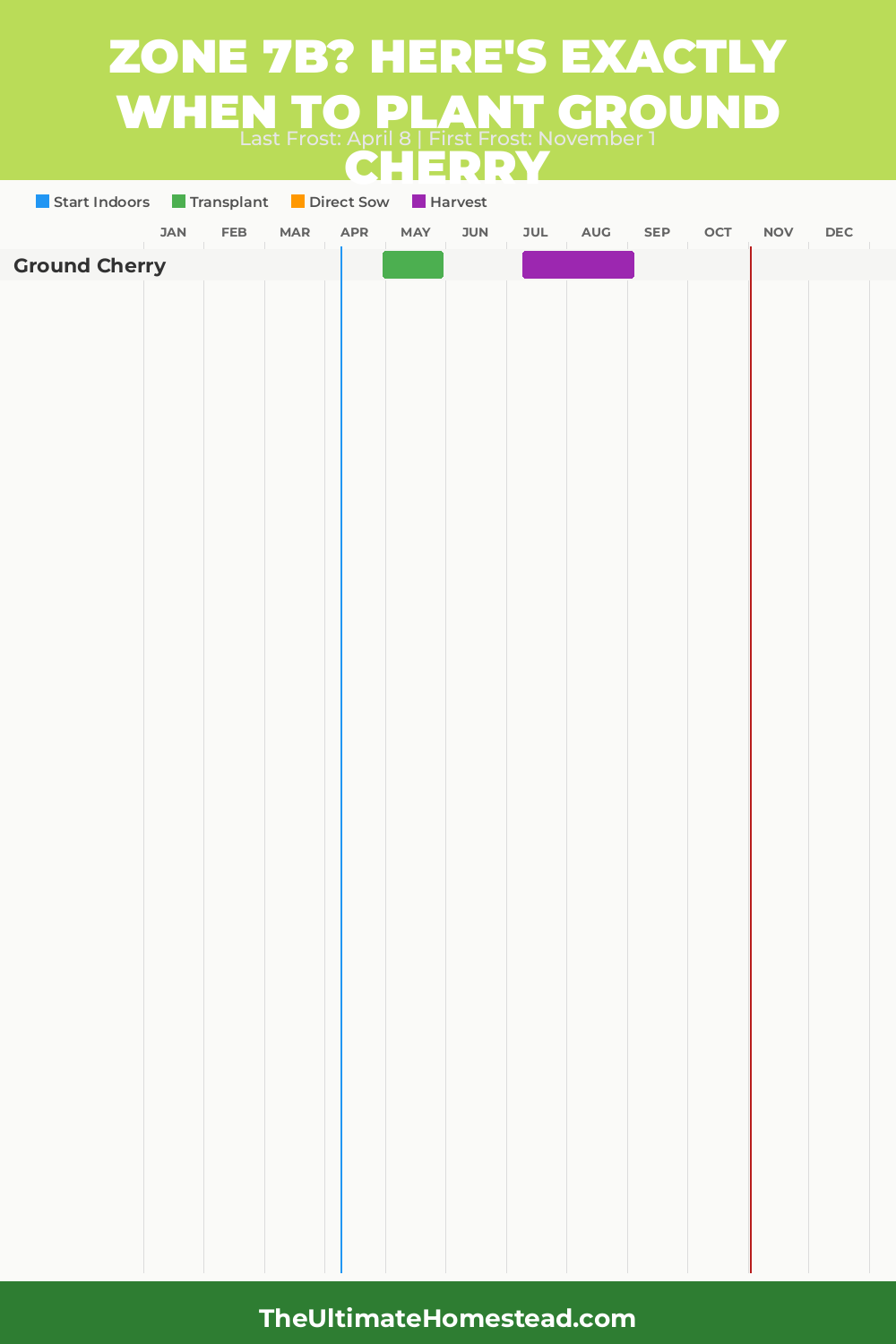 When to Plant Ground Cherry in Zone 7b