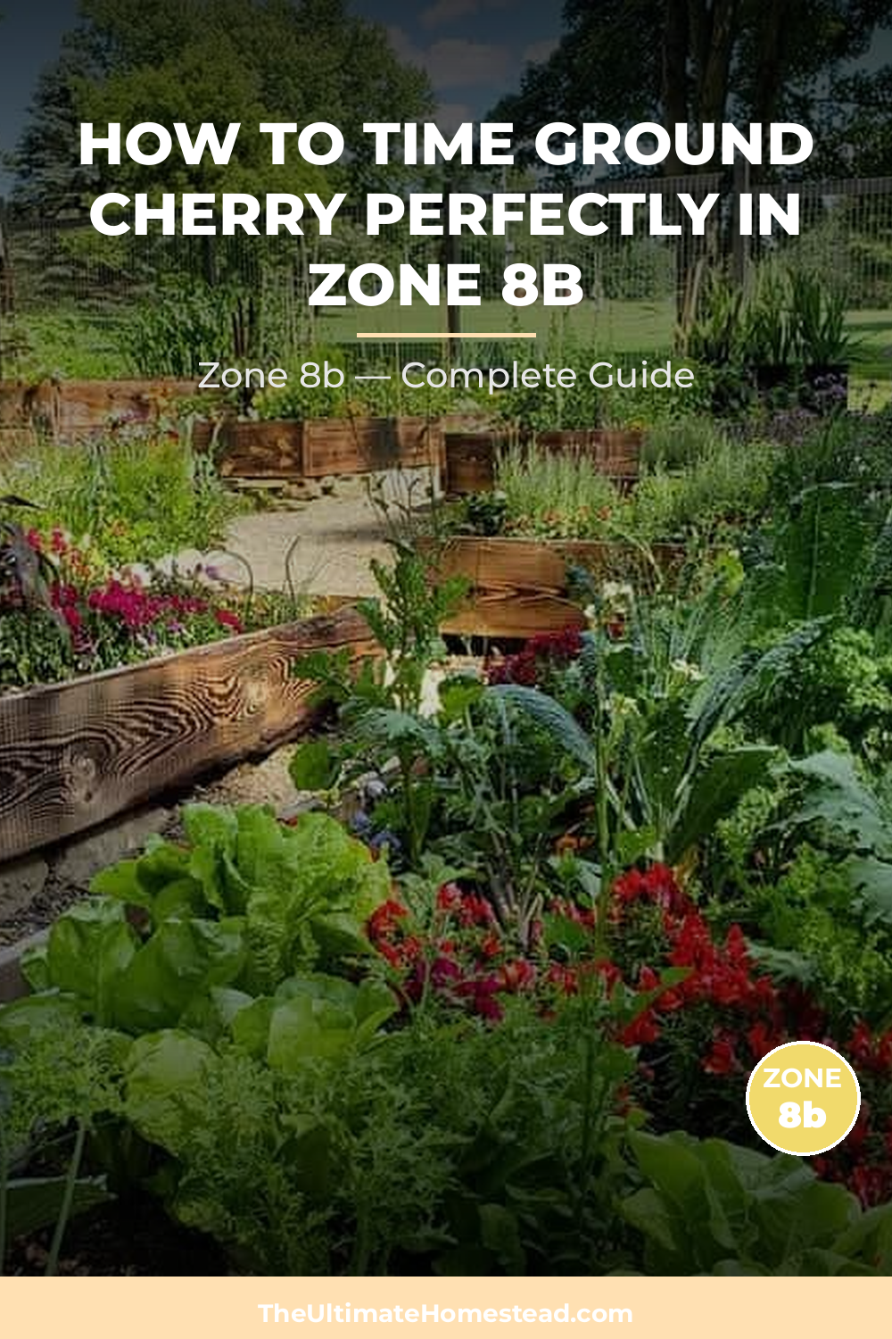 When to Plant Ground Cherry in Zone 8b