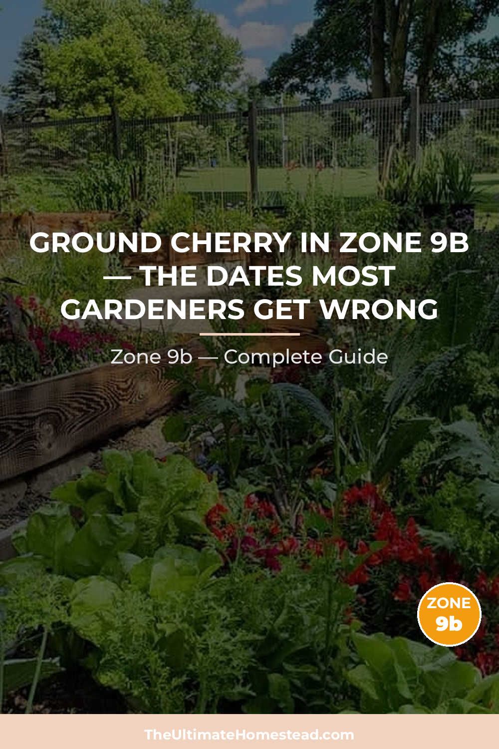 When to Plant Ground Cherry in Zone 9b