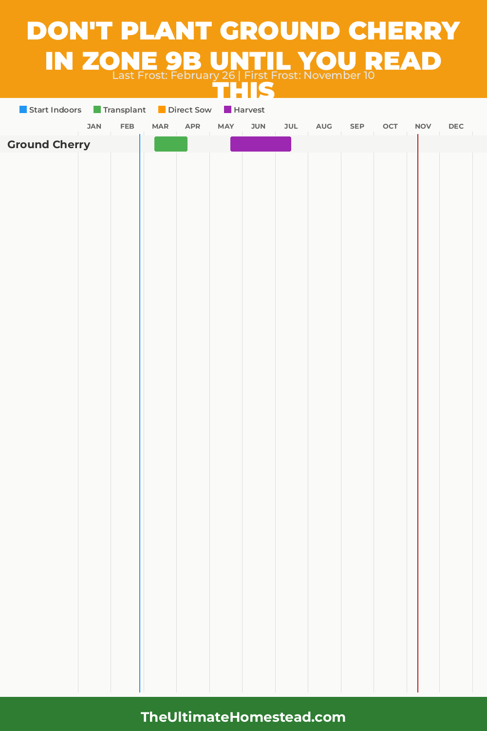 When to Plant Ground Cherry in Zone 9b