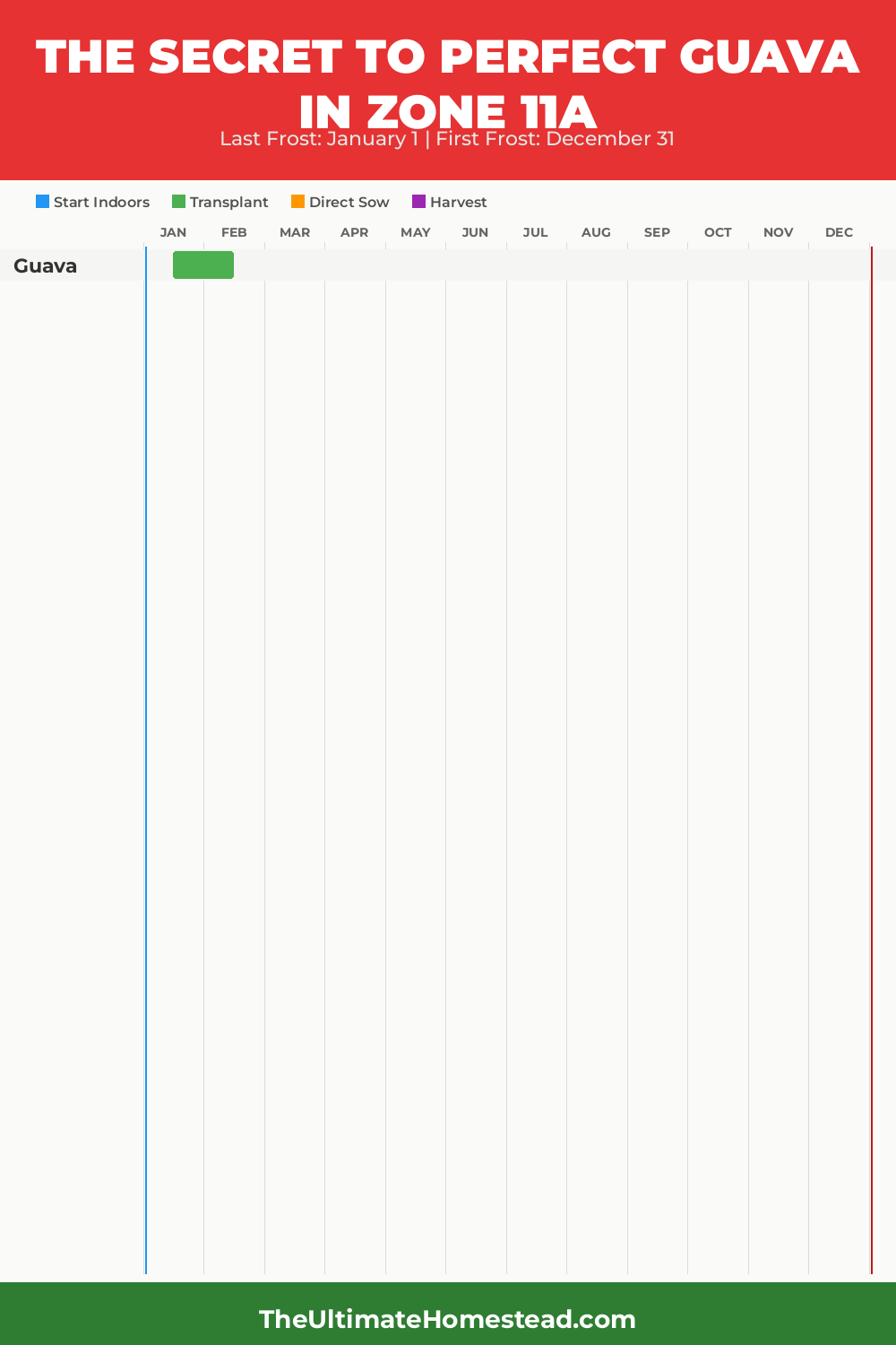 When to Plant Guava in Zone 11a
