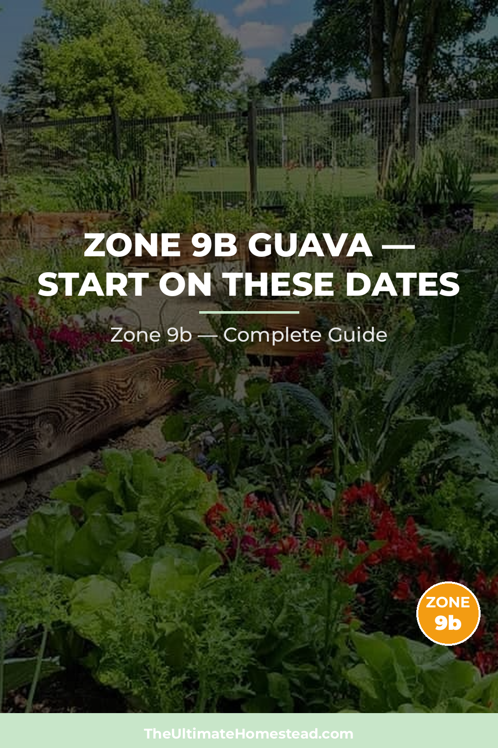When to Plant Guava in Zone 9b