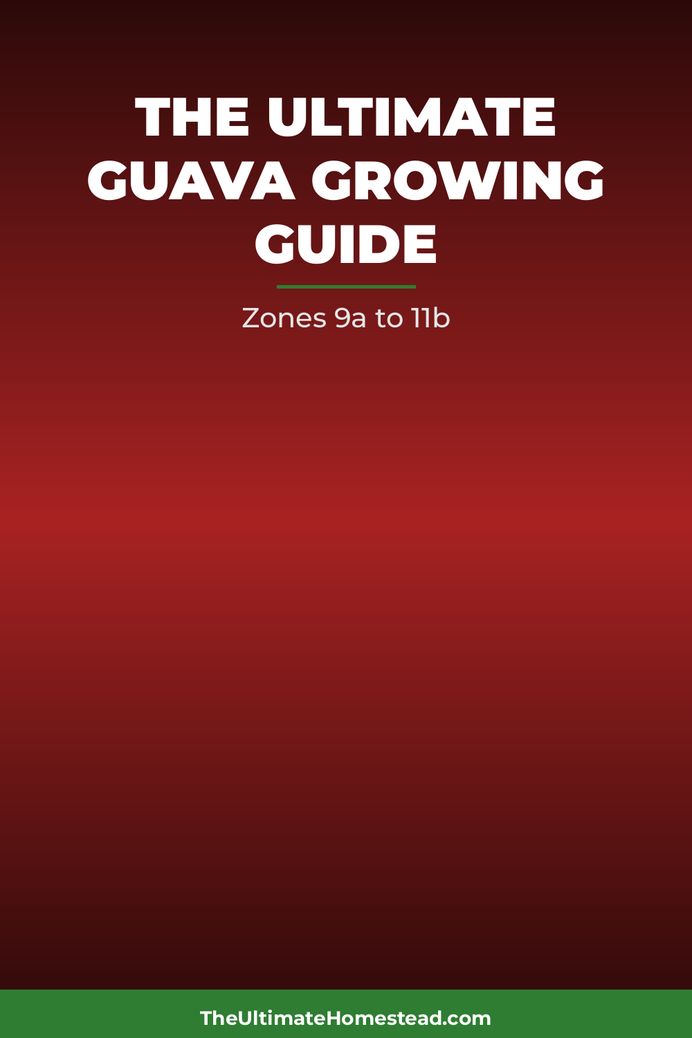 Guava Planting Guide