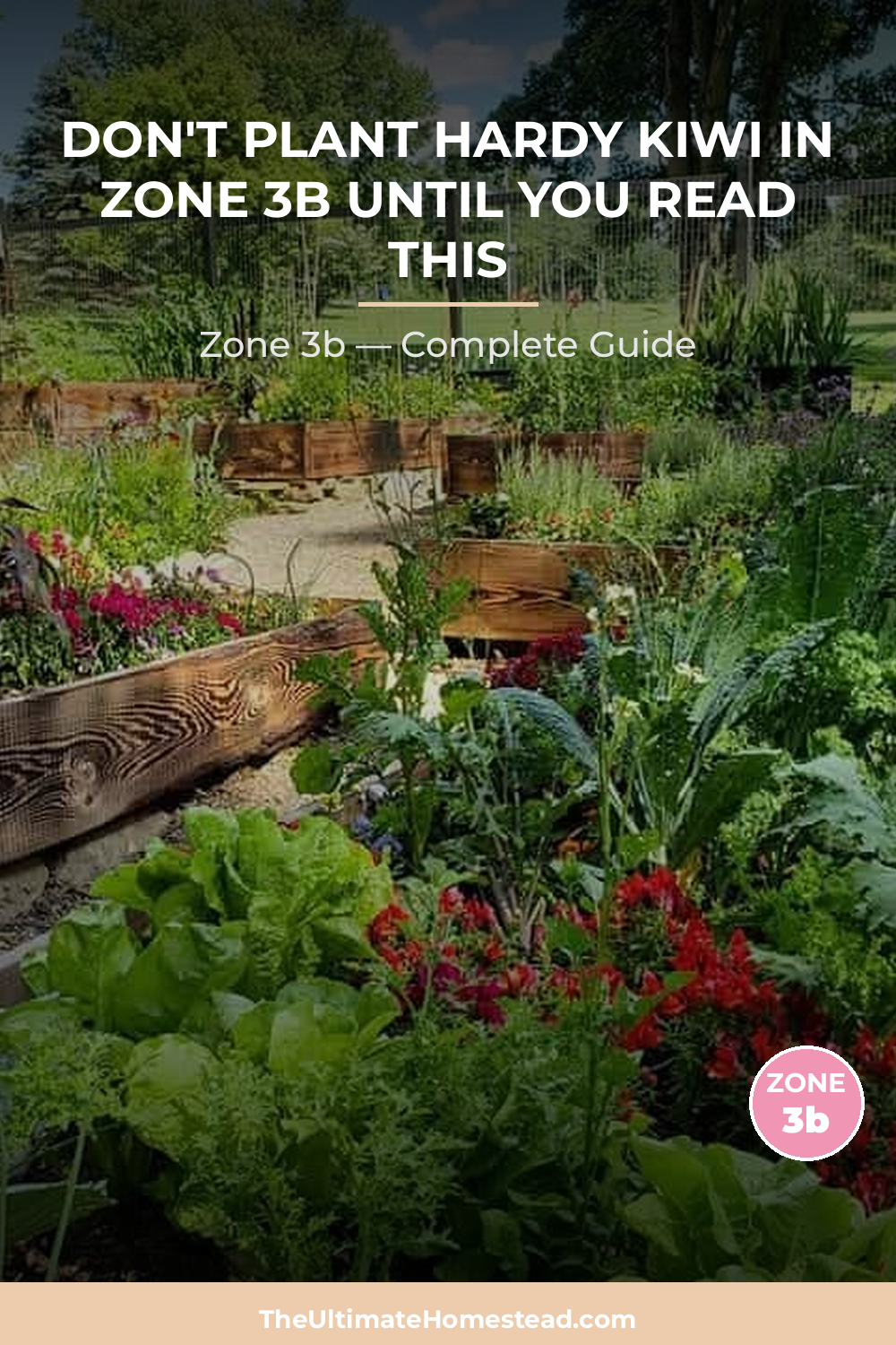 When to Plant Hardy Kiwi in Zone 3b