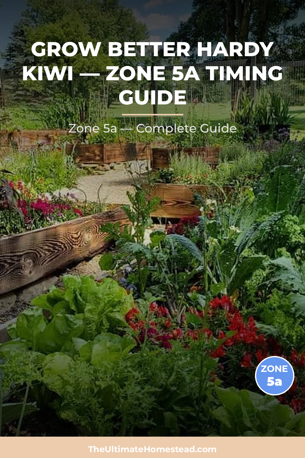 When to Plant Hardy Kiwi in Zone 5a
