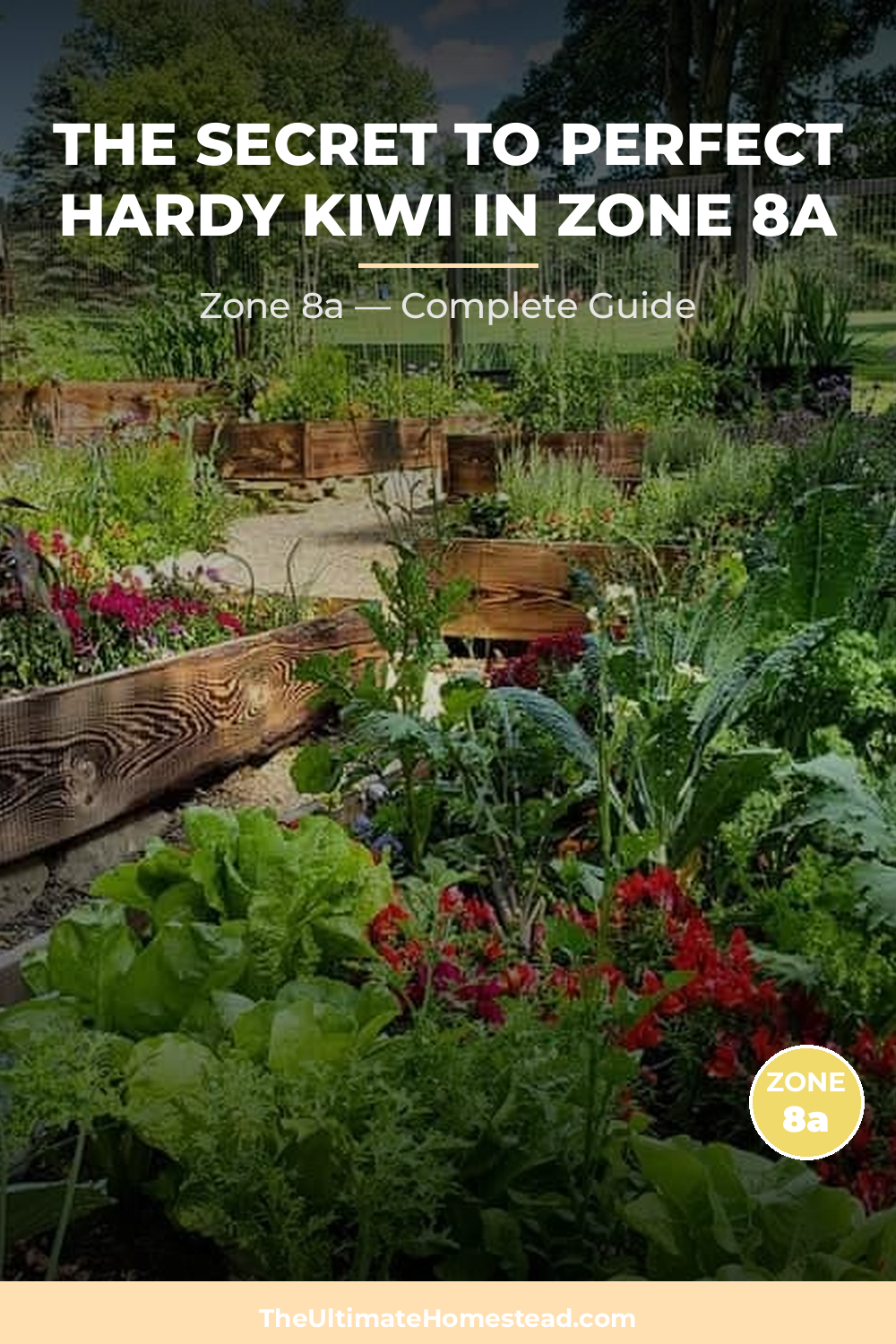 When to Plant Hardy Kiwi in Zone 8a