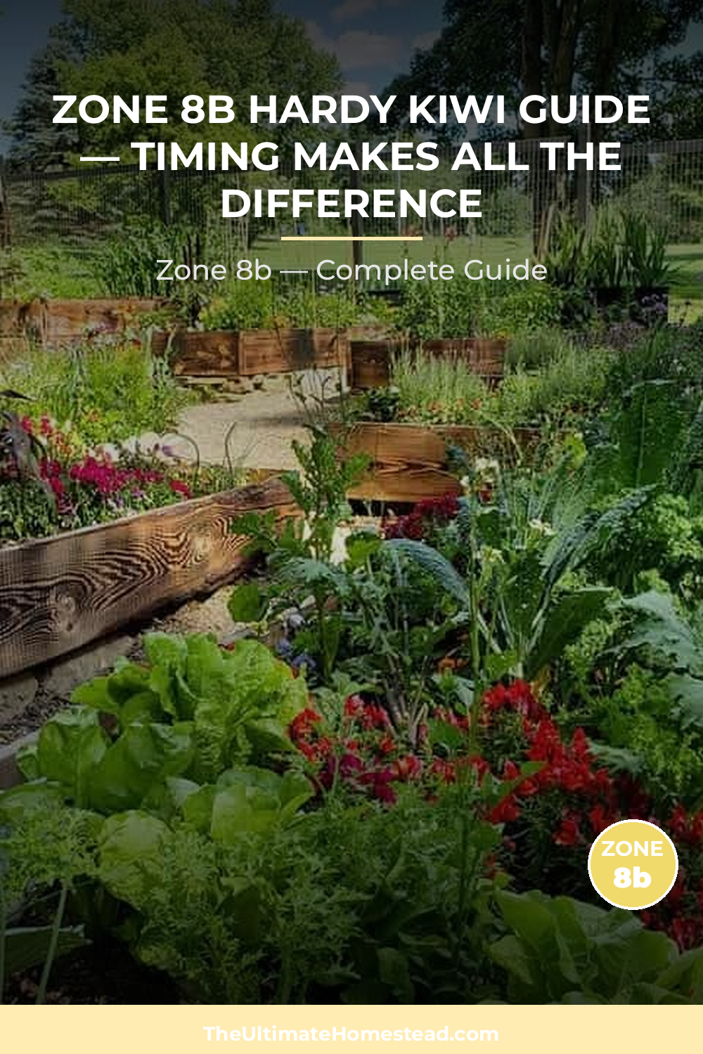 When to Plant Hardy Kiwi in Zone 8b