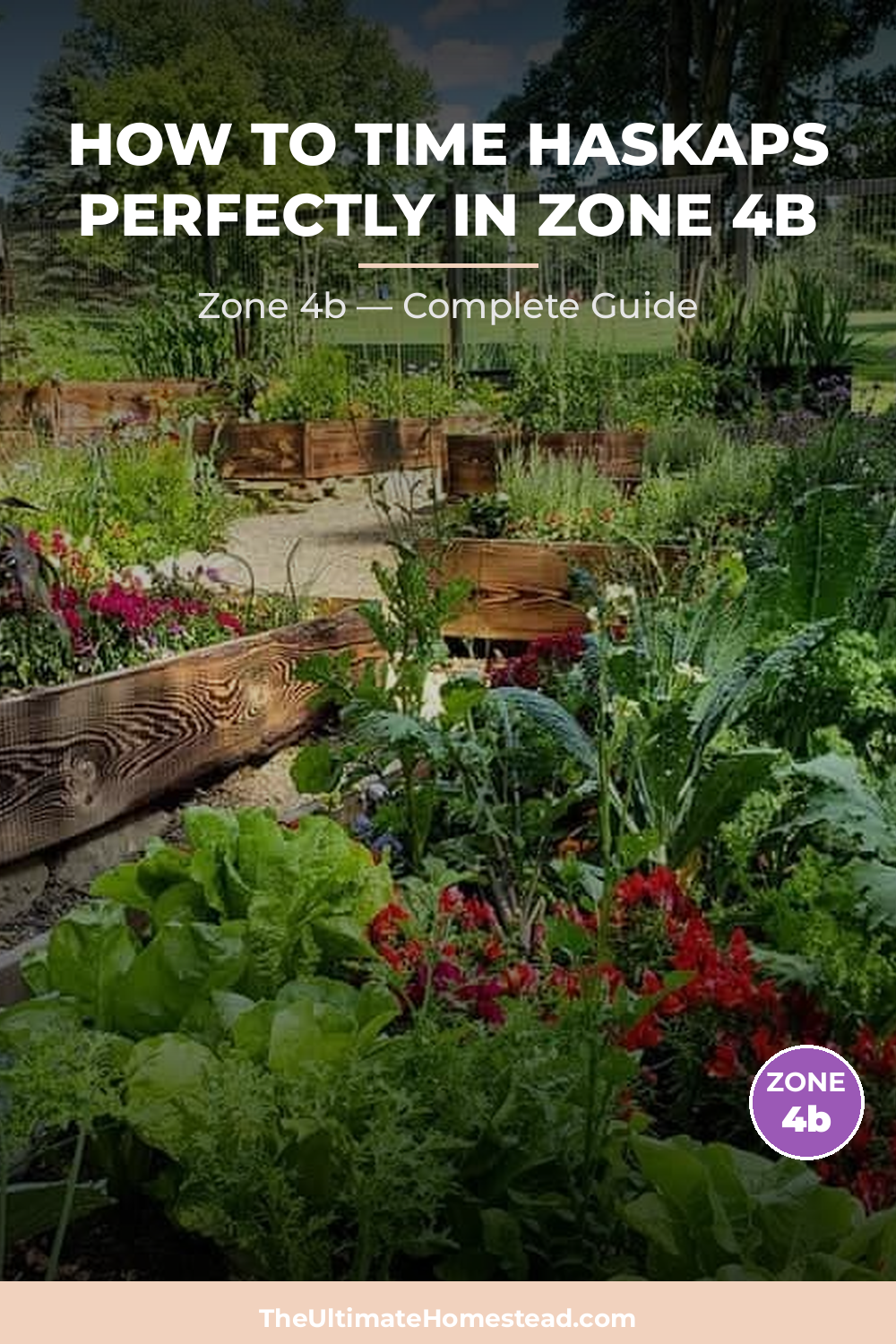 When to Plant Haskaps in Zone 4b