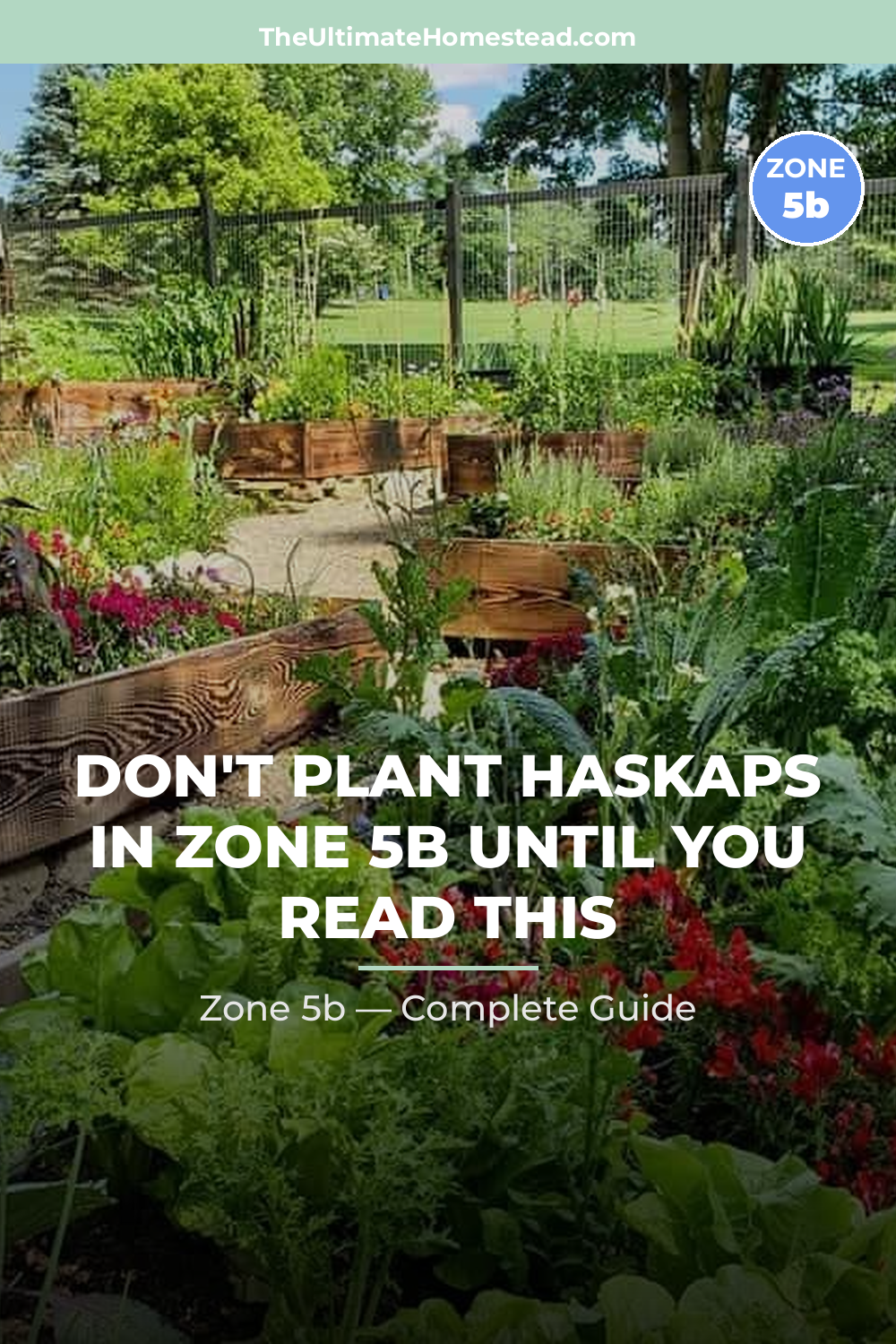 When to Plant Haskaps in Zone 5b