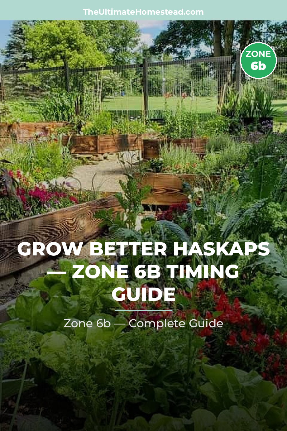 When to Plant Haskaps in Zone 6b