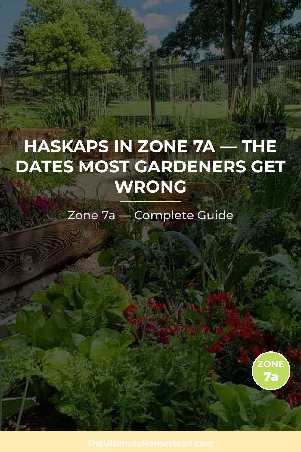 When to Plant Haskaps in Zone 7a