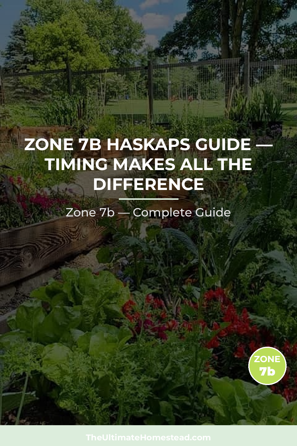 When to Plant Haskaps in Zone 7b
