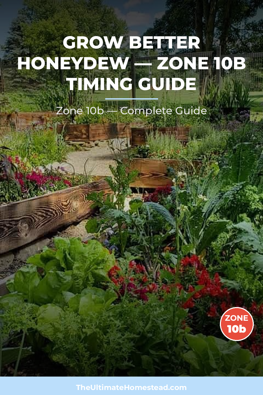 When to Plant Honeydew in Zone 10b