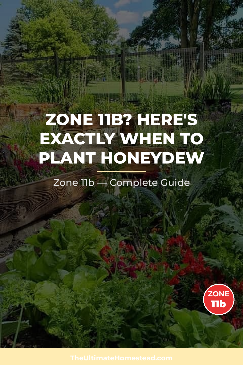 When to Plant Honeydew in Zone 11b