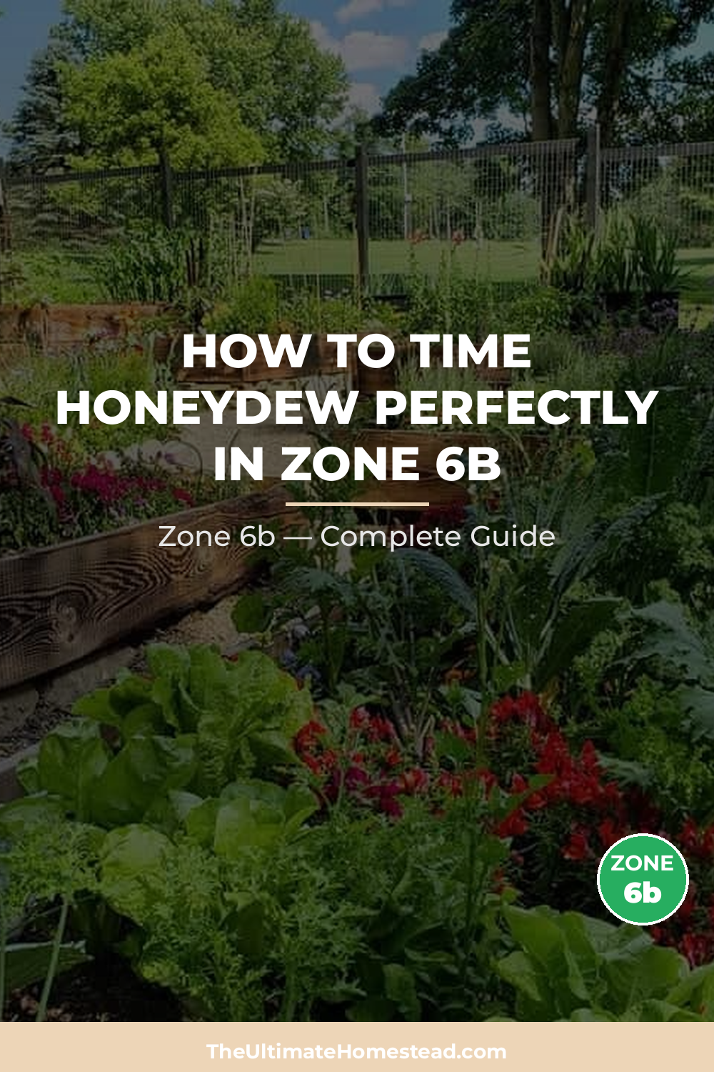 When to Plant Honeydew in Zone 6b