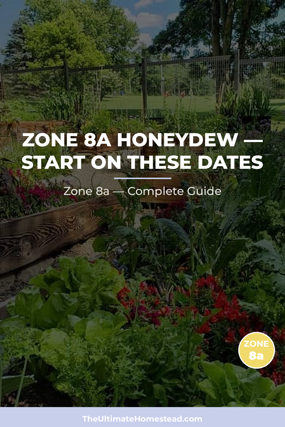 When to Plant Honeydew in Zone 8a