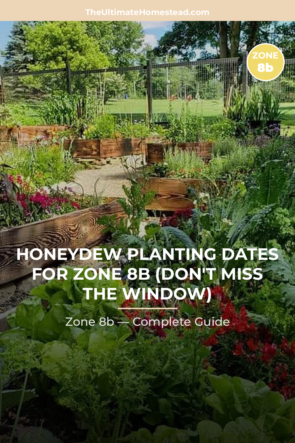 When to Plant Honeydew in Zone 8b