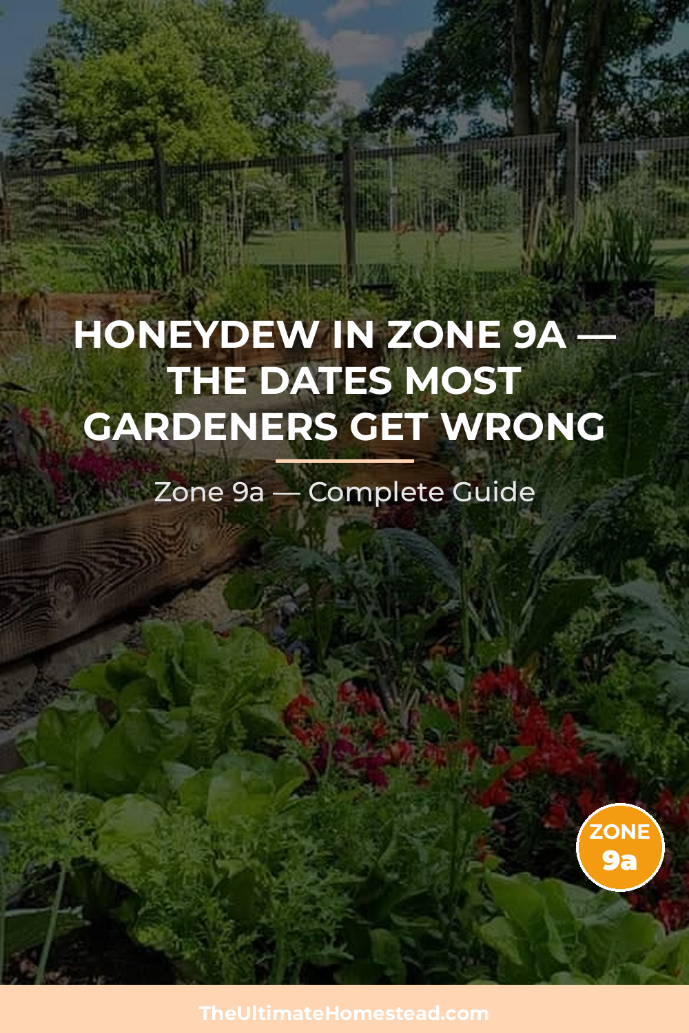 When to Plant Honeydew in Zone 9a