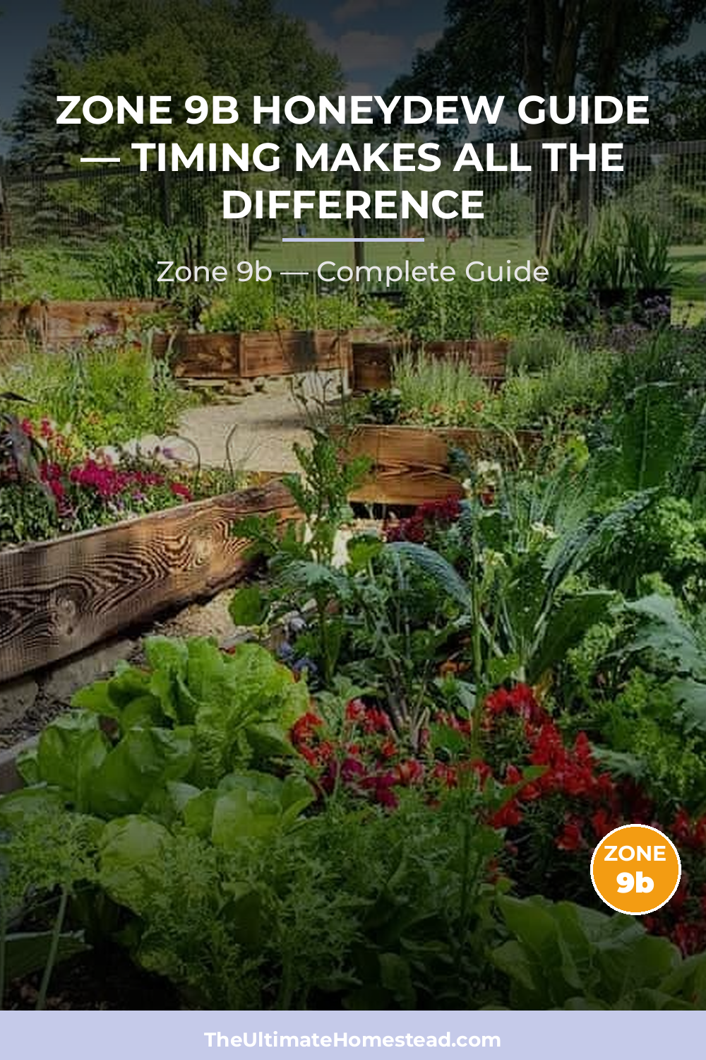 When to Plant Honeydew in Zone 9b