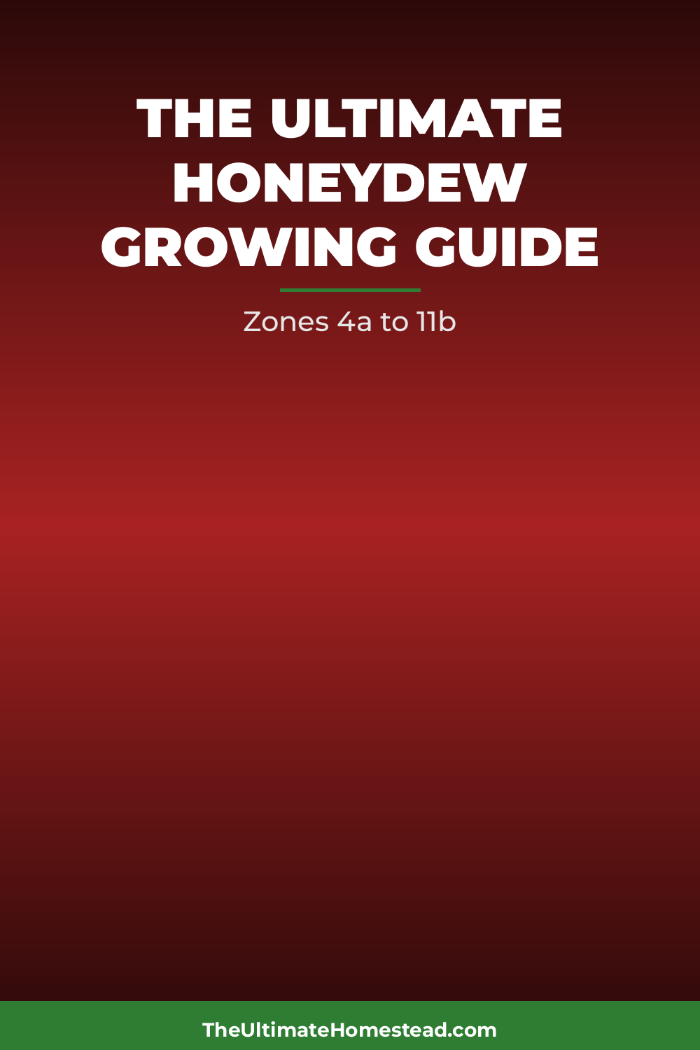 Honeydew Planting Guide