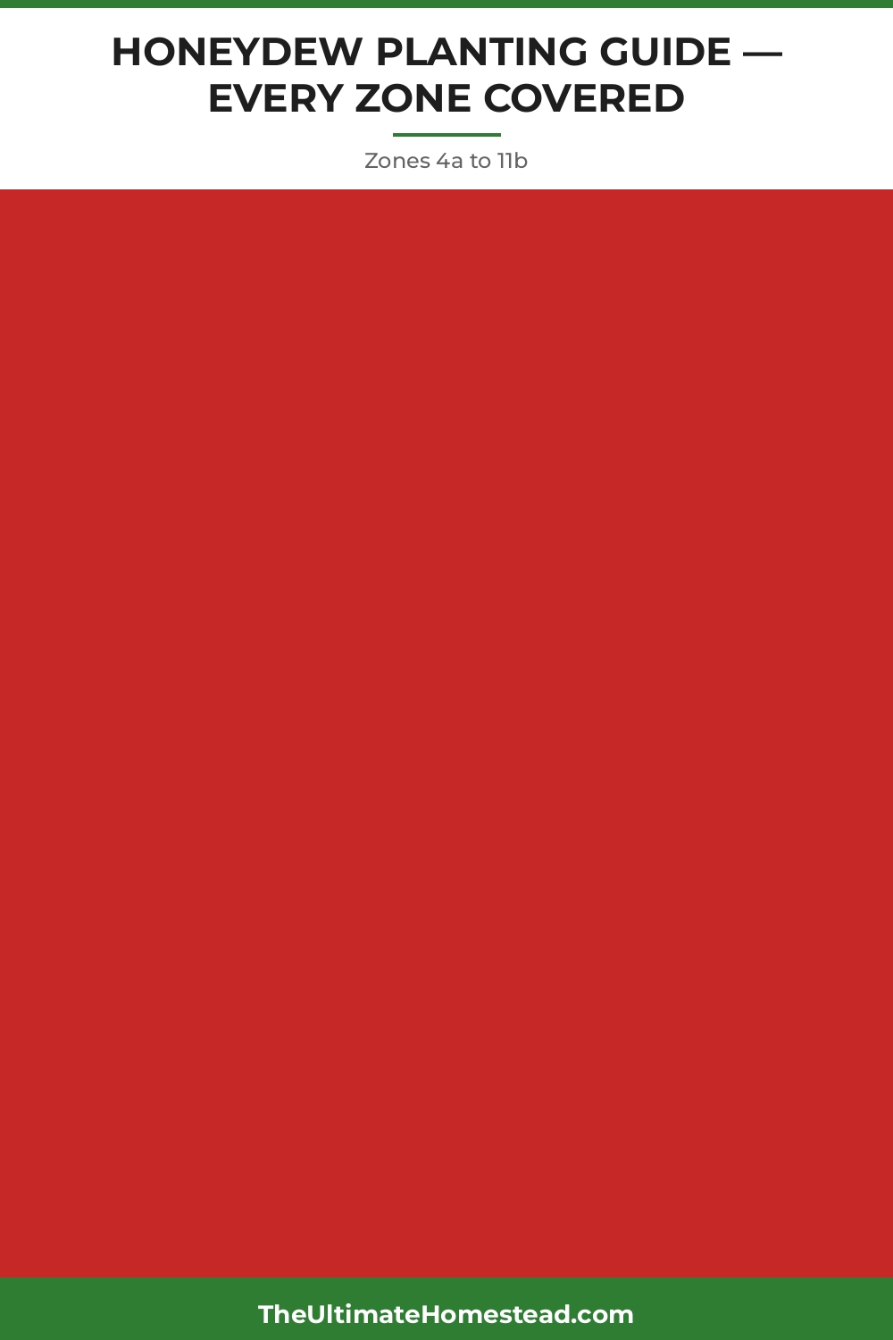 Honeydew Planting Guide