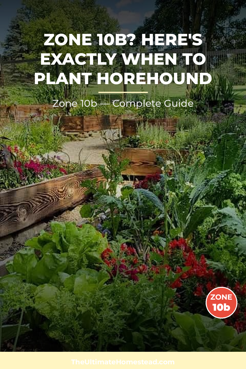 When to Plant Horehound in Zone 10b