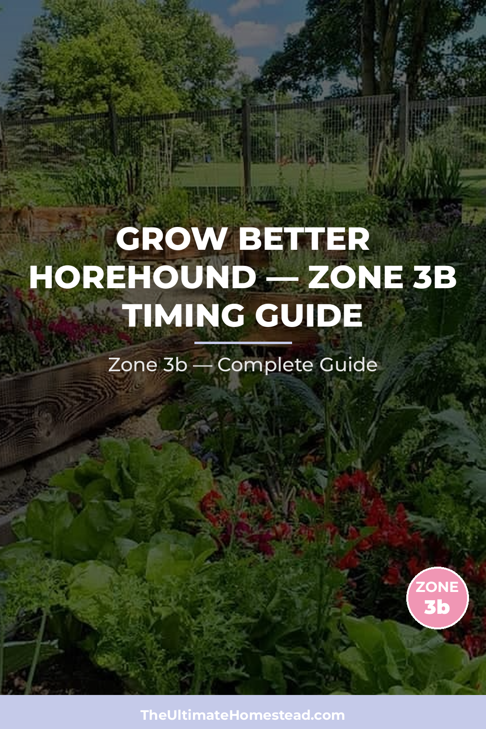 When to Plant Horehound in Zone 3b