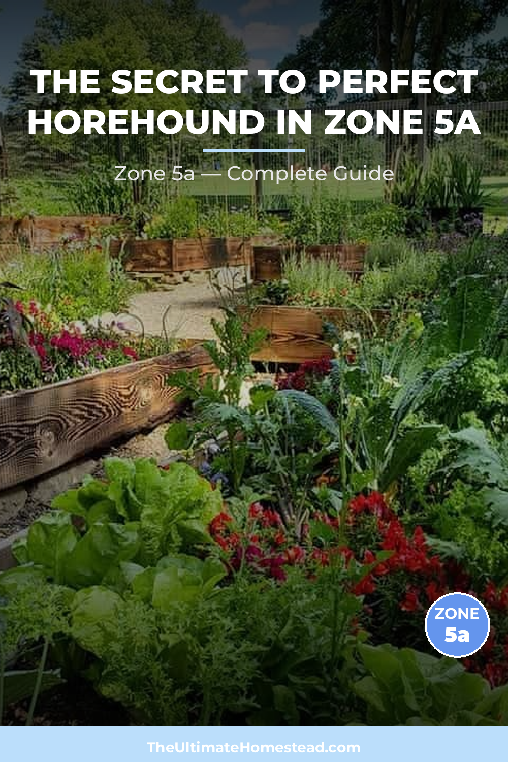 When to Plant Horehound in Zone 5a