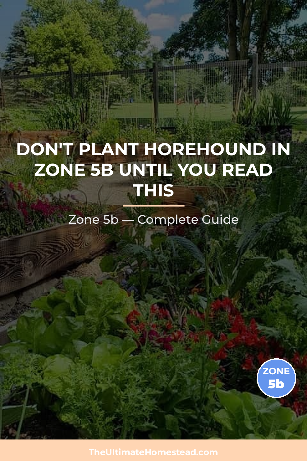 When to Plant Horehound in Zone 5b