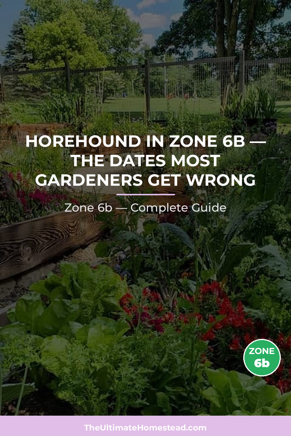When to Plant Horehound in Zone 6b