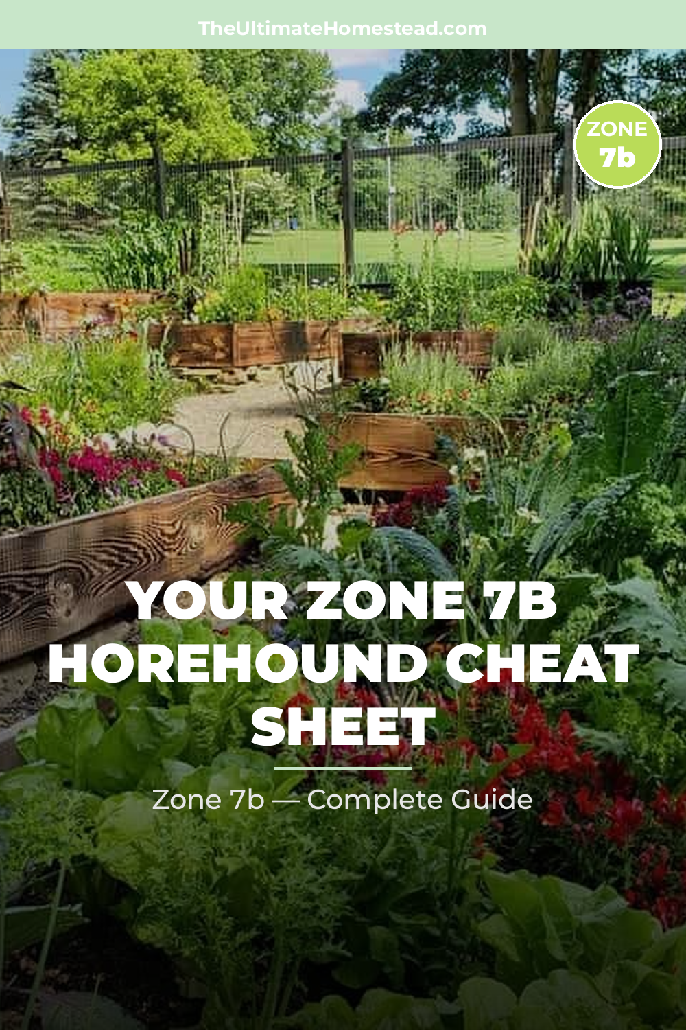 When to Plant Horehound in Zone 7b