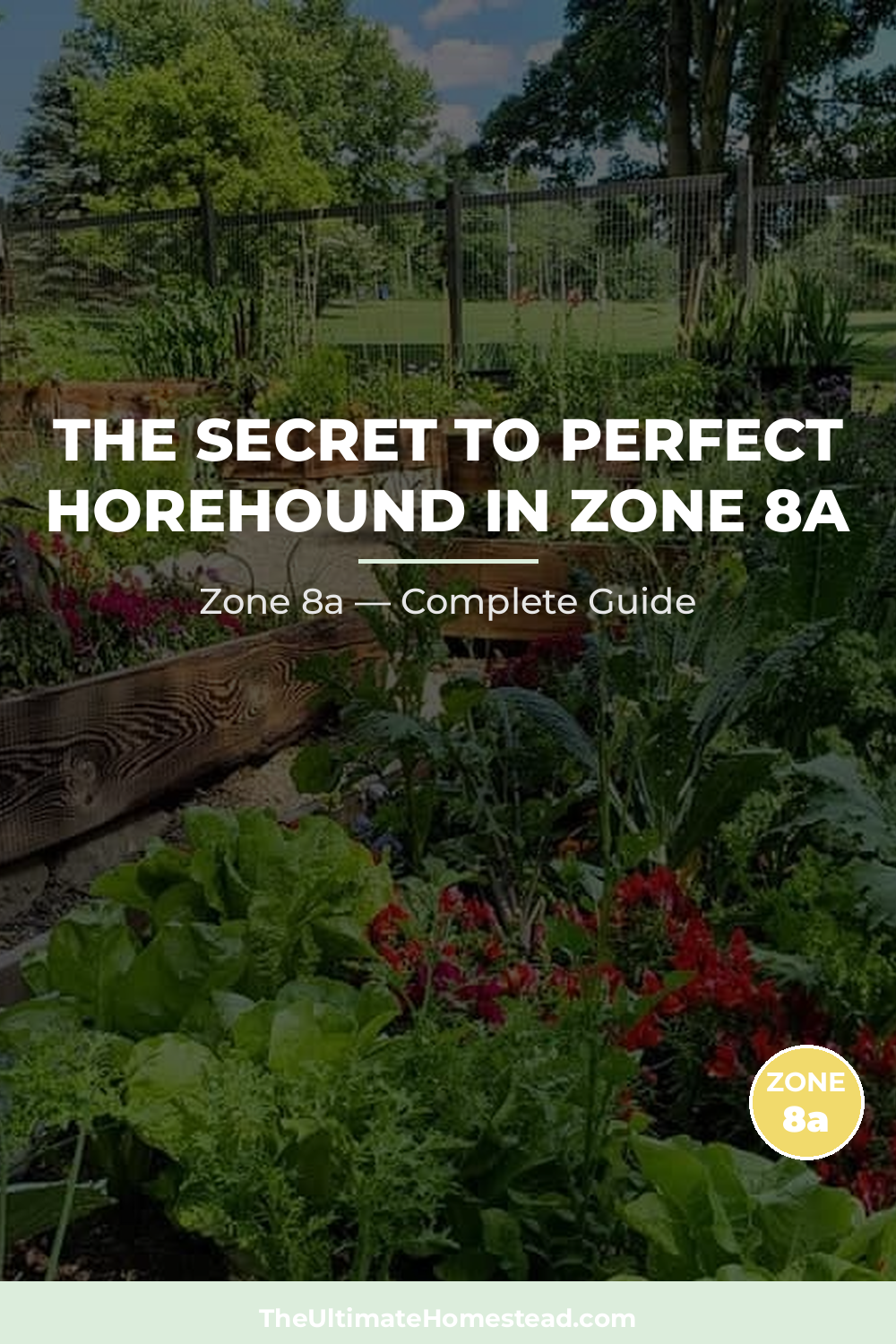 When to Plant Horehound in Zone 8a