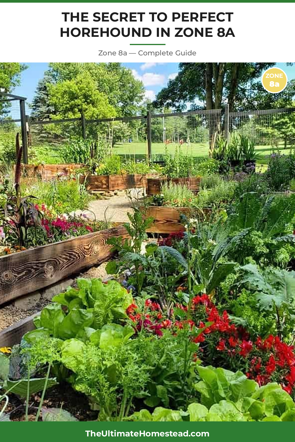 When to Plant Horehound in Zone 8a