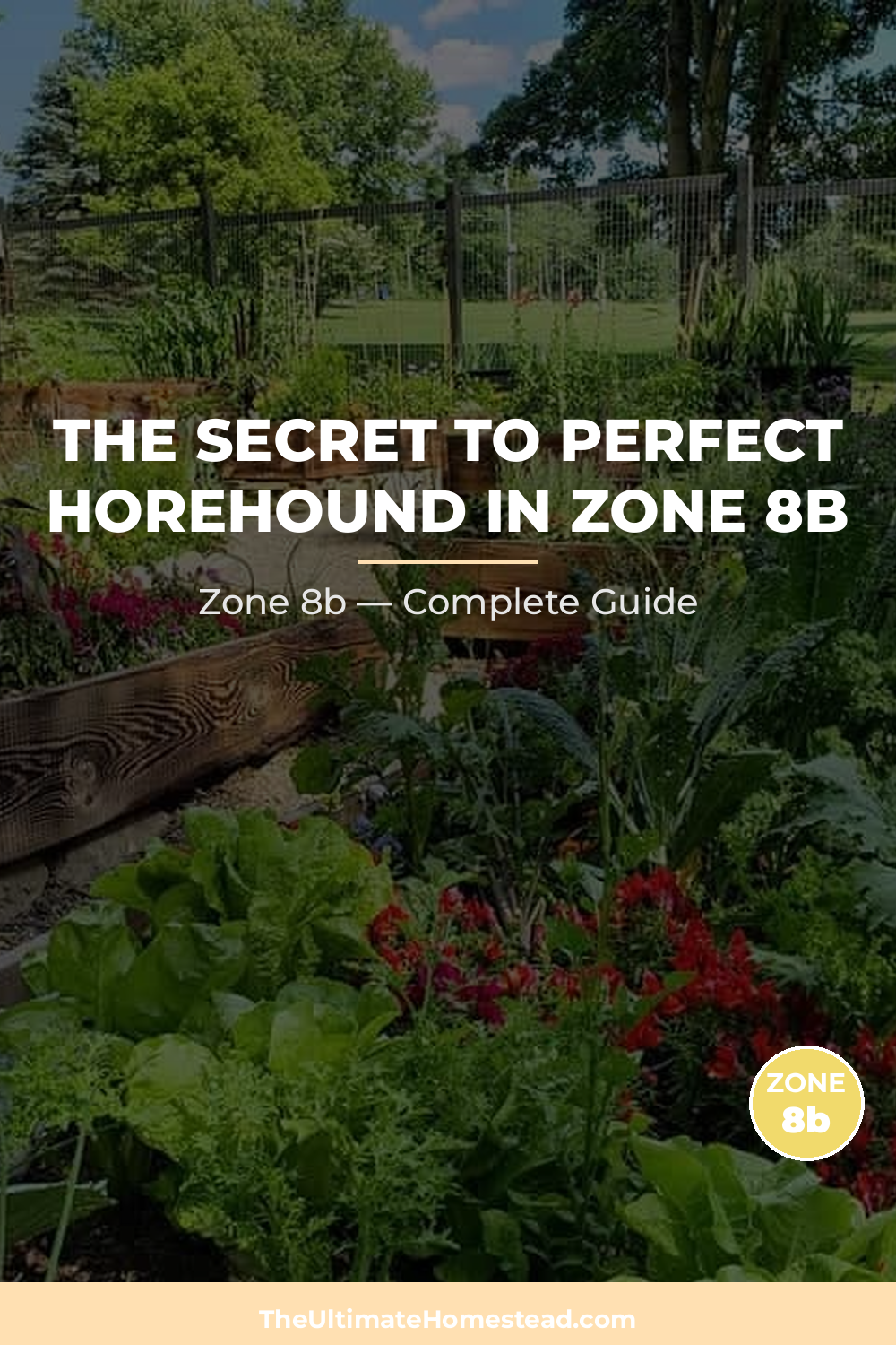 When to Plant Horehound in Zone 8b