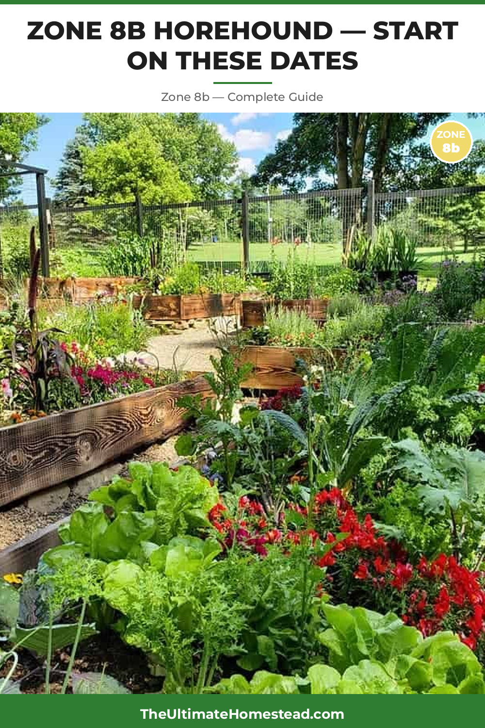 When to Plant Horehound in Zone 8b